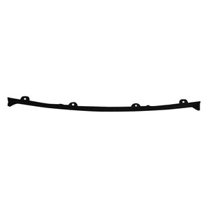 Rear Bumper Molding image