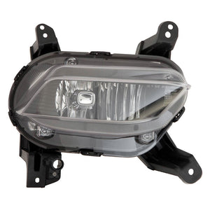 Passenger Side Fog Light Assembly image