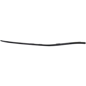 Front Passenger Side Bumper Molding image