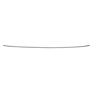 Rear Bumper Molding image