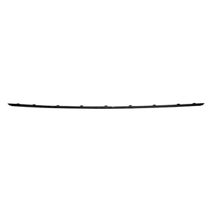 Rear Center Bumper Molding image