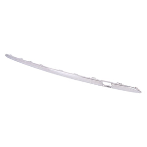 Rear Bumper Molding image