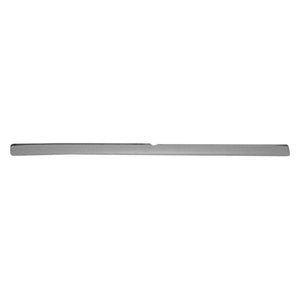 Rear Bumper Impact Strip image