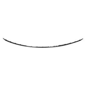 Rear Center Bumper Impact Strip image