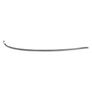 Rear Passenger Side Bumper Impact Strip image