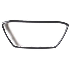 Front Bumper Molding image