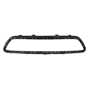 Front Bumper Insert image