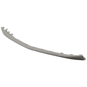 Front Bumper Molding image