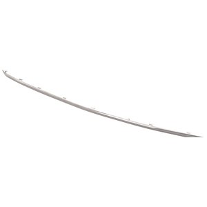 Rear Bumper Molding image