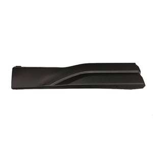 Rear Passenger Side Door Molding image