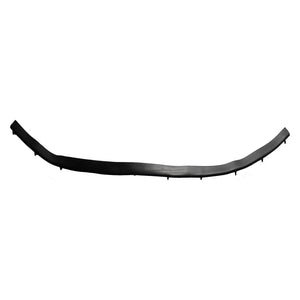 Front Hood Molding image