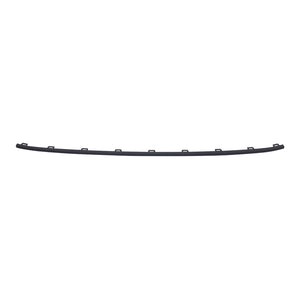 Front Bumper Molding image