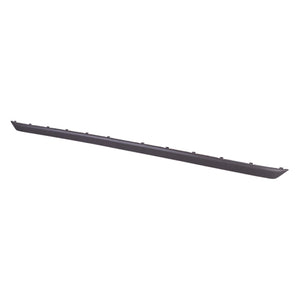 Rear Bumper Molding image