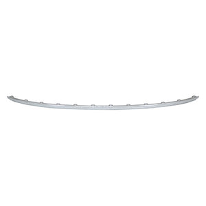 Rear Bumper Molding image