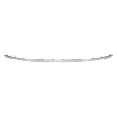 Rear Bumper Molding image