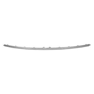 Rear Bumper Molding image