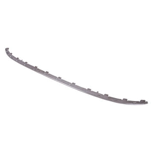 Rear Bumper Molding image