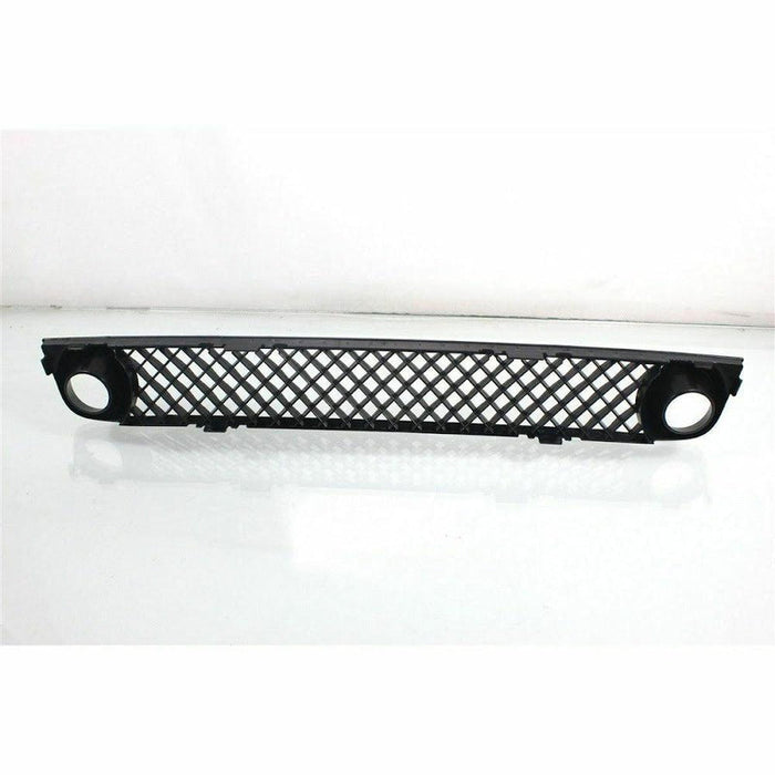 2006-2009 Chevrolet Trailblazer Lower Grille - GM1036140-Partify-Painted-Replacement-Body-Parts